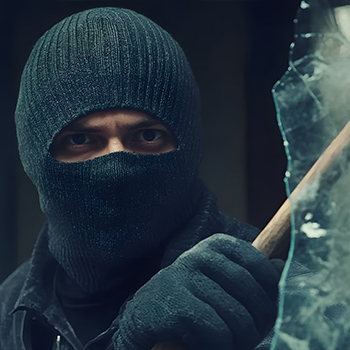 Theft, Burglary & White-Collar Intrigue